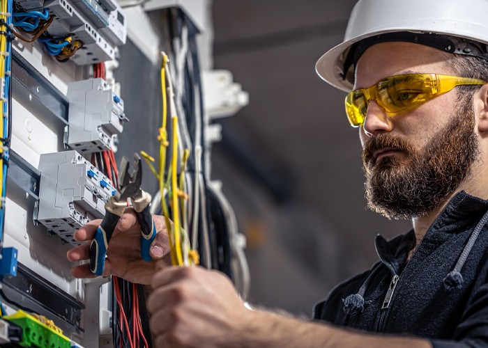 Professional Electrical